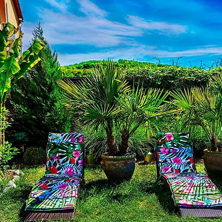 Apart Otel Vintiamo