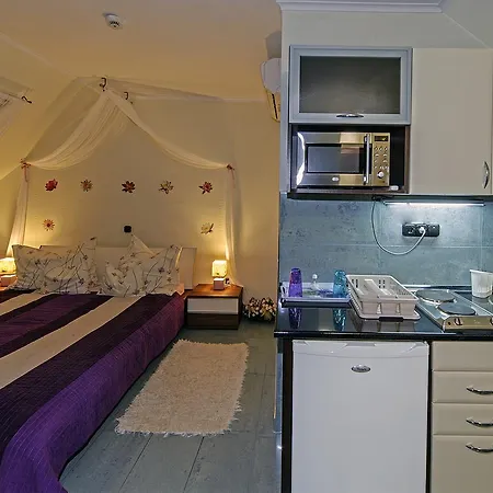Vintiamo 3* إيغيرسولوك
