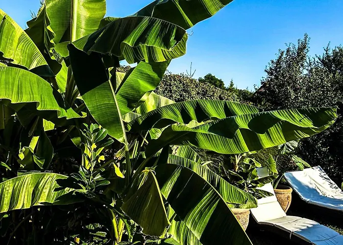 Vintiamo Apart Otel 3*