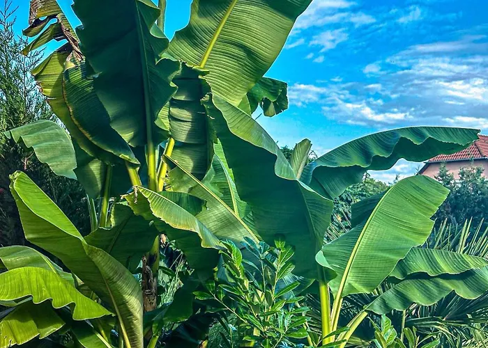 Vintiamo Apart Otel 3*